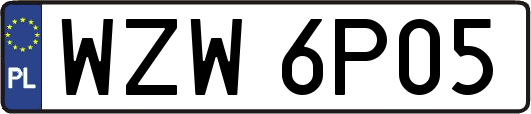 WZW6P05