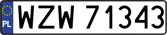 WZW71343