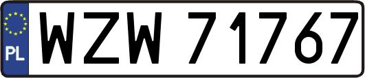 WZW71767