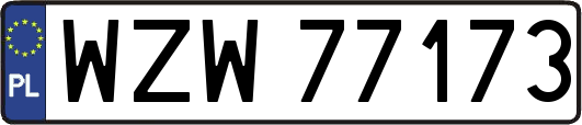WZW77173
