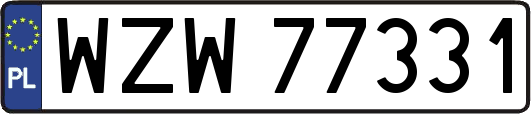 WZW77331