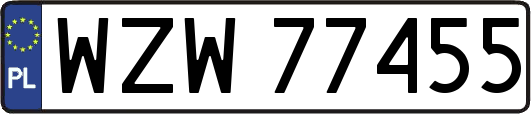 WZW77455