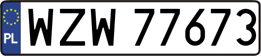WZW77673