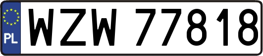 WZW77818