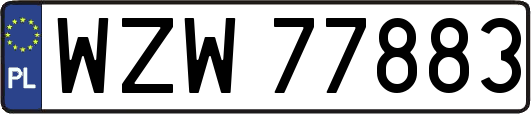 WZW77883