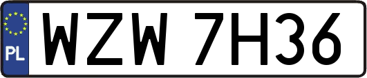 WZW7H36