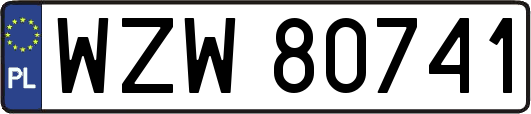 WZW80741