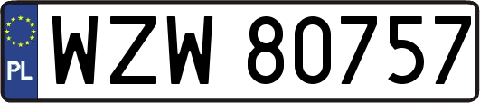 WZW80757