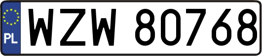 WZW80768