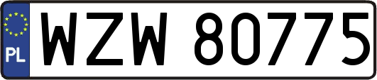 WZW80775
