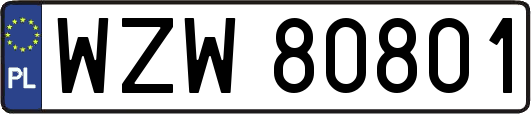 WZW80801