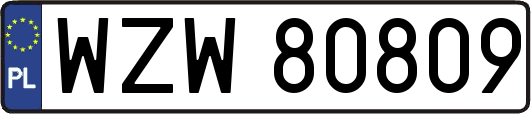 WZW80809