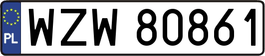 WZW80861