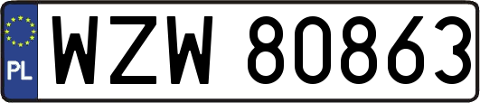 WZW80863