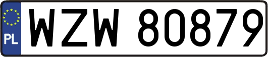 WZW80879