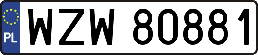 WZW80881