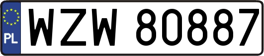 WZW80887