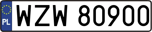WZW80900