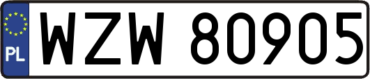 WZW80905