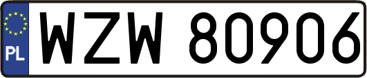 WZW80906