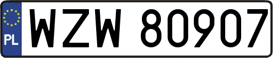 WZW80907