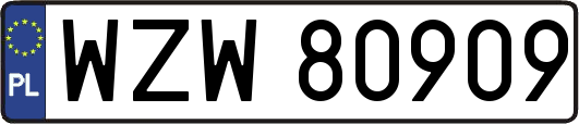 WZW80909