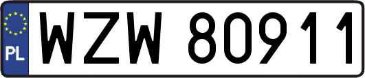 WZW80911
