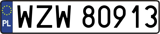 WZW80913