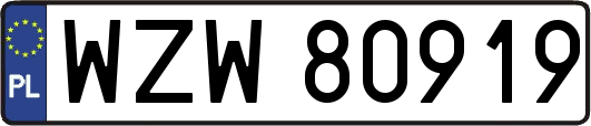 WZW80919