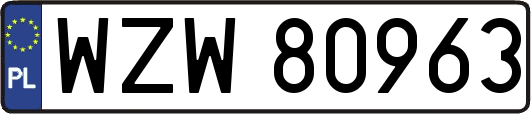 WZW80963