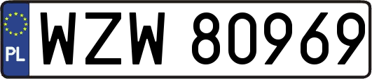 WZW80969