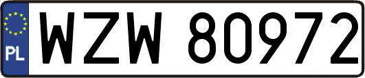 WZW80972