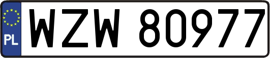 WZW80977