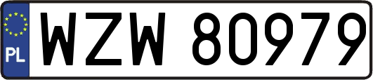WZW80979