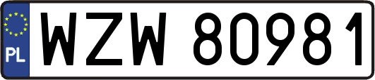 WZW80981