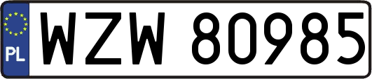 WZW80985