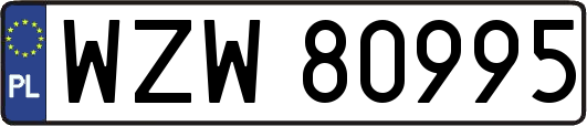 WZW80995