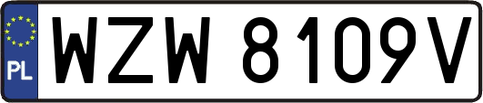 WZW8109V