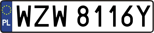 WZW8116Y