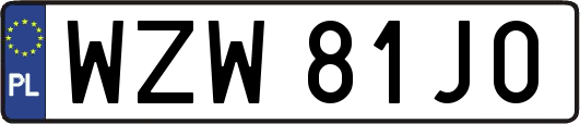 WZW81J0