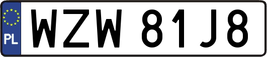 WZW81J8