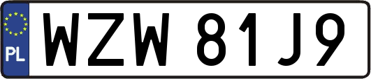 WZW81J9