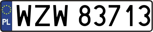 WZW83713