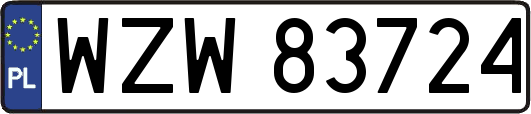 WZW83724