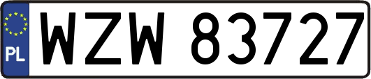 WZW83727
