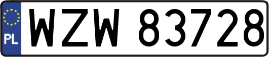 WZW83728