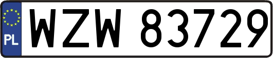 WZW83729