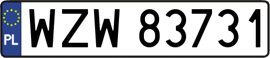 WZW83731