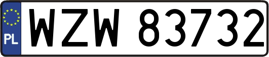 WZW83732