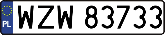 WZW83733